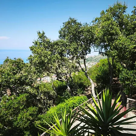 Il Corbezzolo *